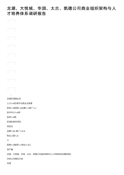 龙湖、大悦城、华润、太古、凯德公司商业组织架构与人才培养体系调研报告