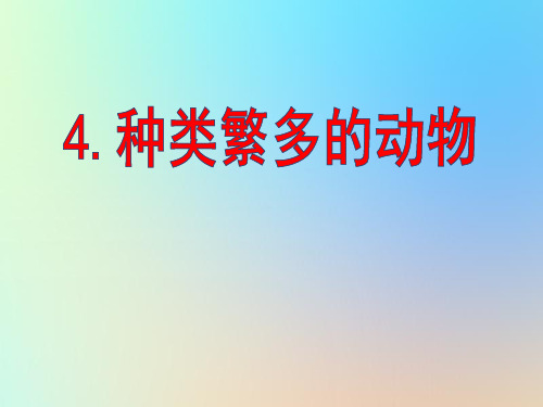 六年级科学上册生物的多样性4种类繁多的动物课件教科版