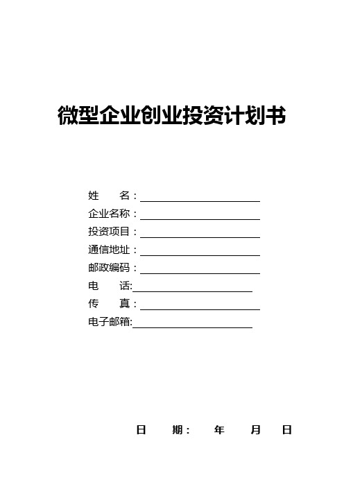 微型企业创业投资计划书模板