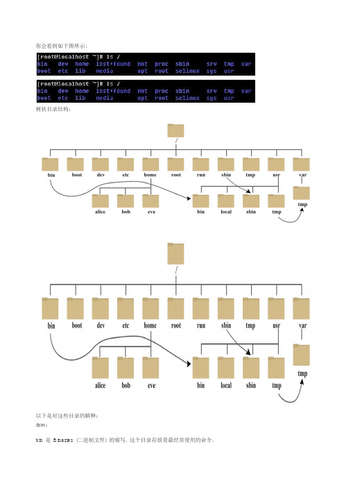 Linux 目录结构说明