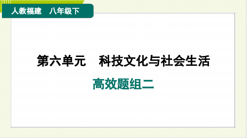 2024年人教版八年级下册历史培优第六单元高效题组二