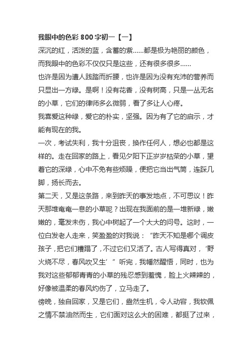我眼中的色彩800字初一