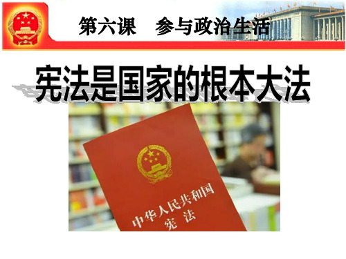 《宪法是国家的根本大法》参与政治生活PPT2  图文