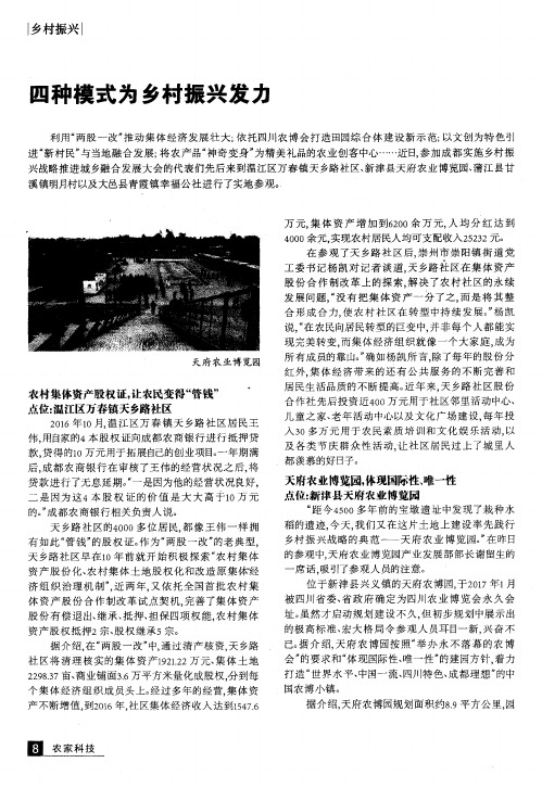 四种模式为乡村振兴发力