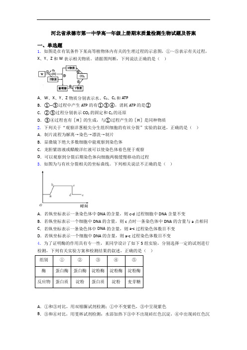 河北省承德市第一中学高一年级上册期末质量检测生物试题及答案