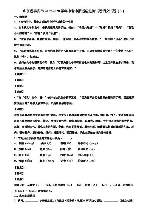 山东省泰安市2019-2020学年中考中招适应性测试卷语文试题(3)含解析