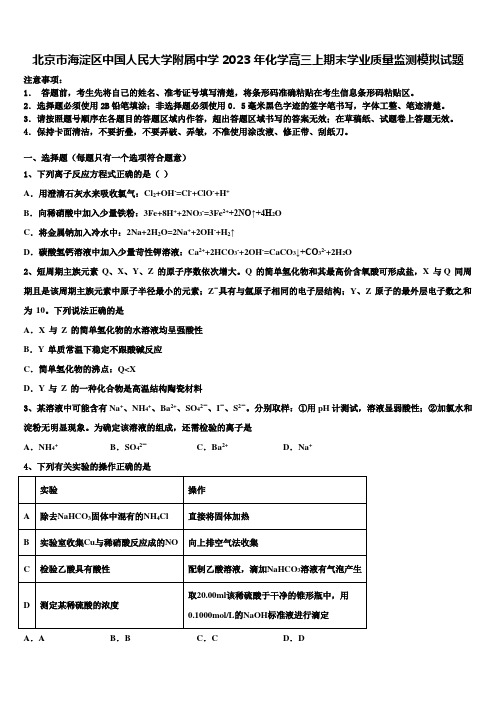 北京市海淀区中国人民大学附属中学2023年化学高三上期末学业质量监测模拟试题含解析