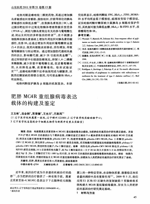 肥胖MC4R重组腺病毒表达载体的构建及鉴定