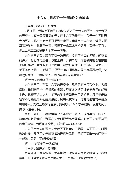 十六岁，我多了一份成熟作文600字