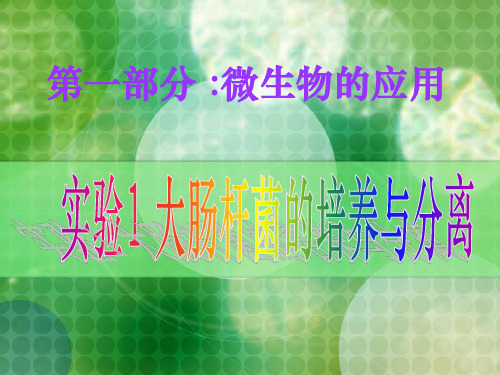 浙江省地区学科高三生物实验1-大肠杆菌的培养与分离课件浙科版选修