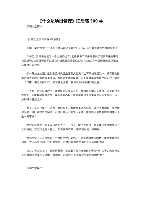 《什么是项目管理》读后感500字