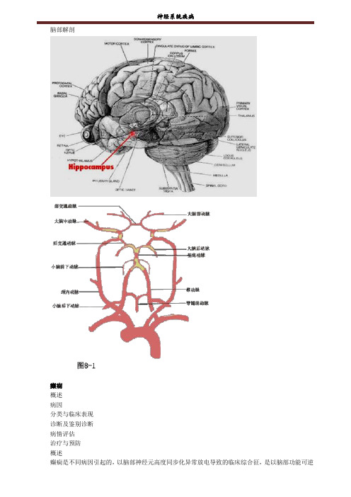 神经系统疾病考点总结