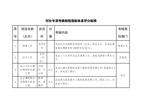 村社专项考核细则指标体系评分标准