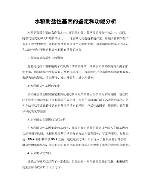 水稻耐盐性基因的鉴定和功能分析