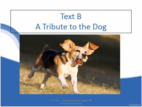 自考英语二unitFriendship and Loyalty; Tet B A Tribute to the Dog PPT