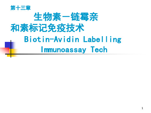 临床免疫学：第十三章 生物素-链霉亲和素标记免疫技术