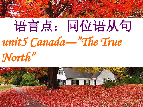 高中英语必修3 Unit_5_Canada-The_True_North_语言点及同位语从句