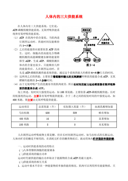 人体内的三大供能系统