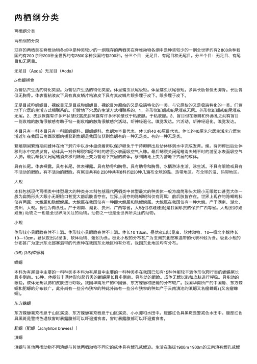 两栖纲分类——精选推荐