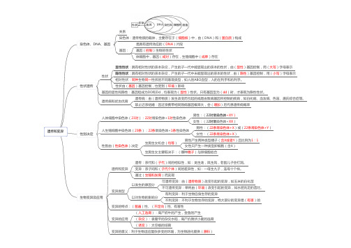 思维导图-生物的遗传和变异答案版