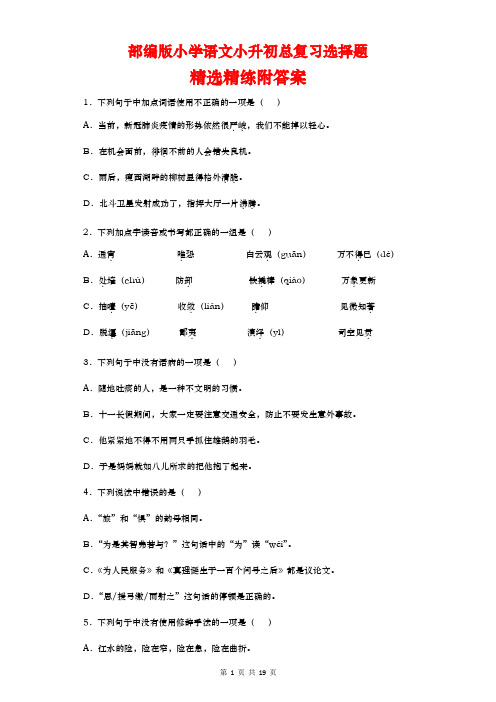 小升初总复习选择题精选精练(试题)部编版语文六年级下册