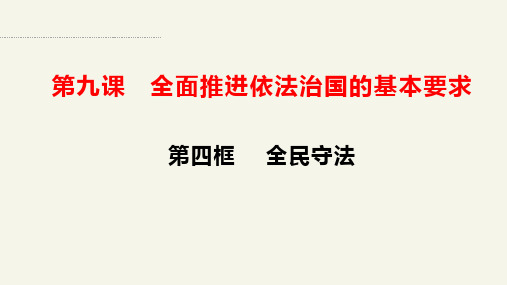 全民守法课件-高中政治统编版必修三政治与法治