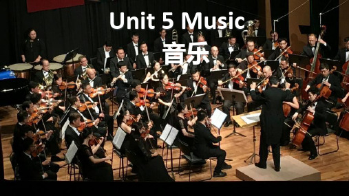 Unit5Music词汇课件高一英语人教版