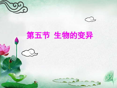 生物的变异 课件(共41张PPT)