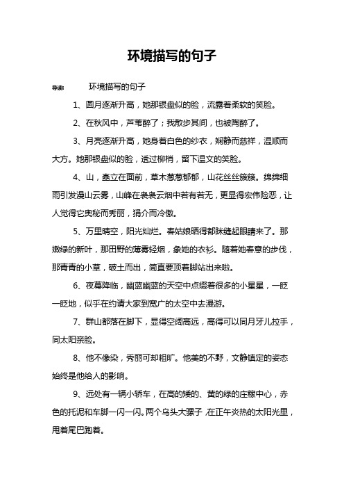 环境描写的句子
