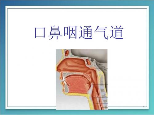 (医学课件)口鼻咽通气道PPT幻灯片