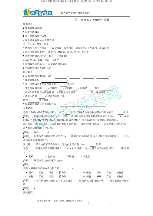 山东省肥城市王庄镇初级中学人教版七年级生物上册导学案：第二单