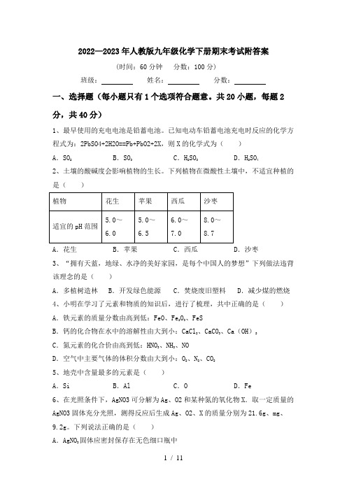 2022—2023年人教版九年级化学下册期末考试附答案