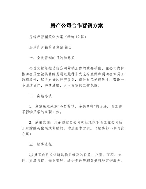 房产公司合作营销方案