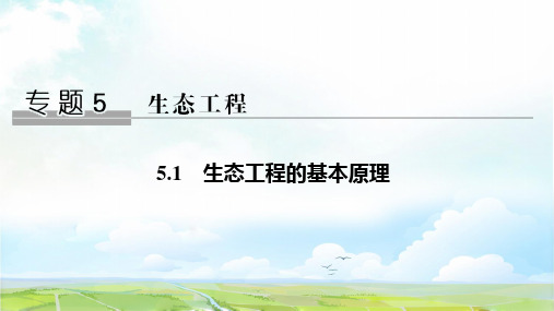 高中生物选修3优质课件：5.1  生态工程的基本原理