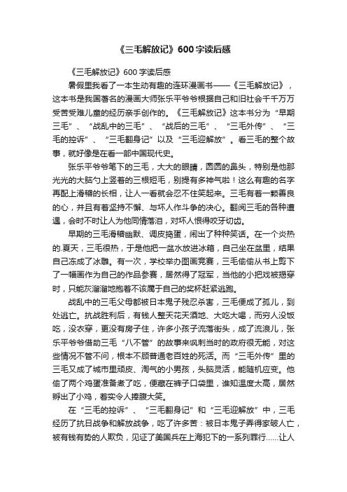 《三毛解放记》600字读后感