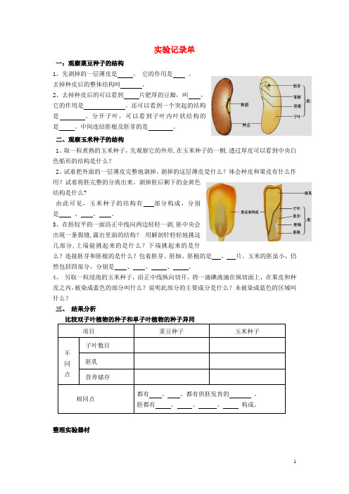 山东省枣庄市峄城区吴林街道中学八年级生物上册 第四单元 第一章 第三节 实验记录单教案 济南版