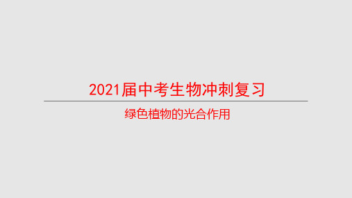 2021届中考生物冲刺复习： 绿色植物的光合作用