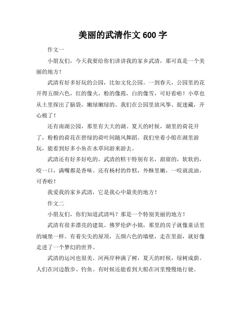 美丽的武清作文600字