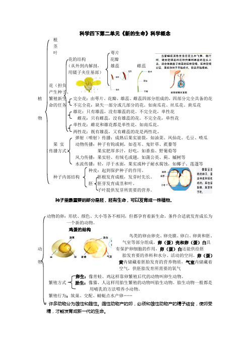 四下科学第二单元《新的生命》科学概念-1