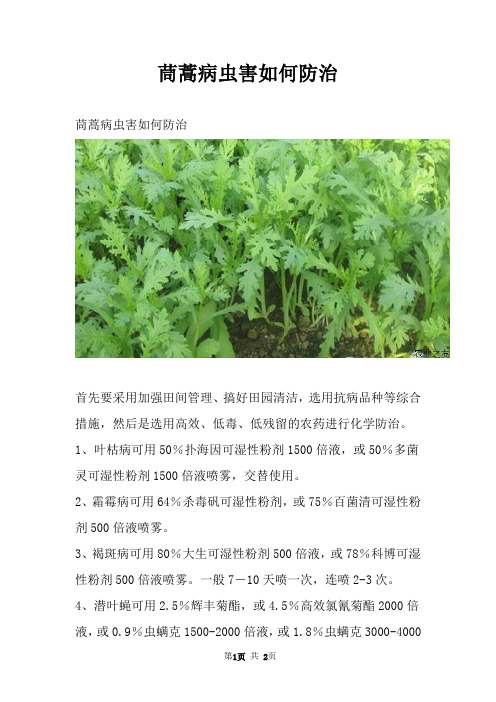 茼蒿病虫害如何防治