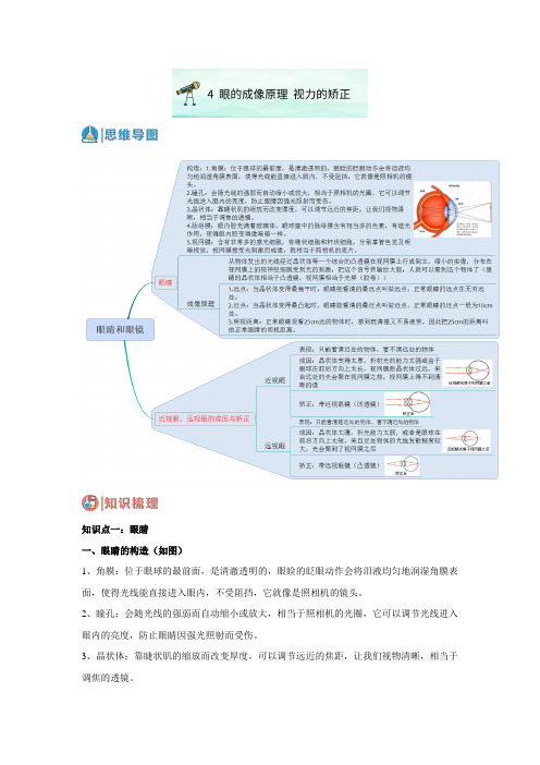 4  眼的成像原理  视力的矫正-2023-2024学年八年级科学下册精讲精练(华师大版)