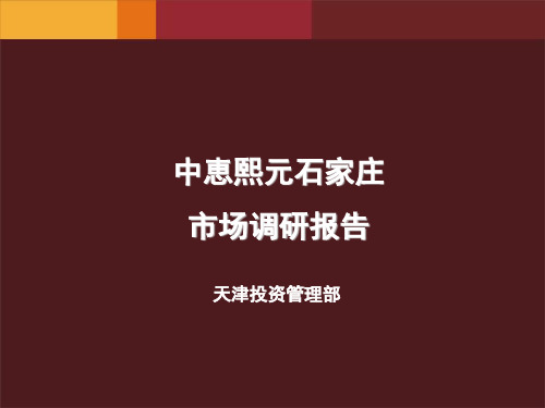 石家庄市场调研报告