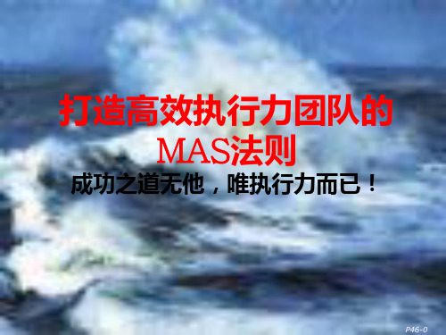 打造高效执行力团队的MAS法则培训教材