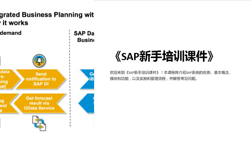 《SAP新手培训课件》