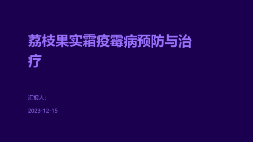 荔枝果实霜疫霉病预防与治疗