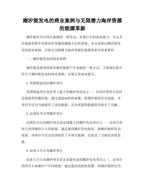 潮汐能发电的商业案例与无限潜力海洋资源的能源革新