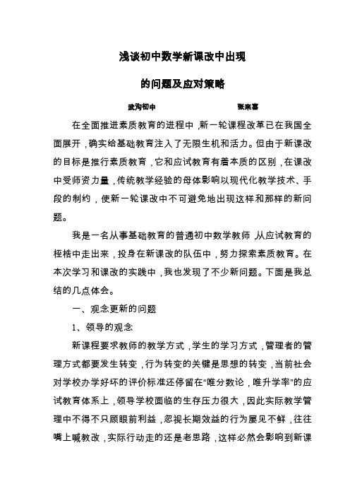 浅谈初中数学新课改中出现的问题及应对策略