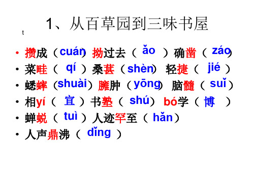 七年级下册拼音练习