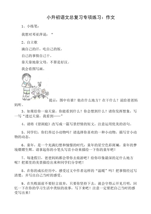 小升初语文总复习专项练习：作文(附答案)