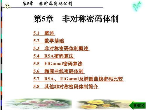 应用密码学第5章非对称密码体制